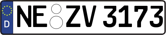 NE-ZV3173