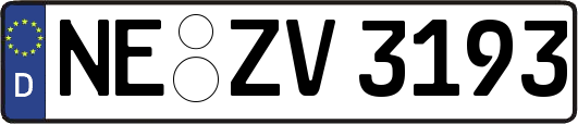 NE-ZV3193