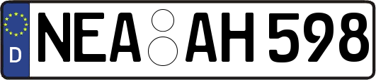NEA-AH598