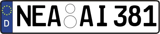 NEA-AI381