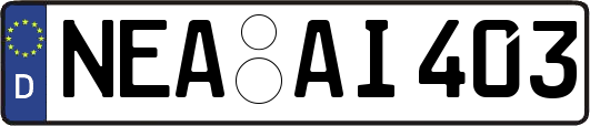 NEA-AI403