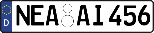 NEA-AI456