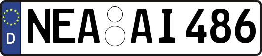 NEA-AI486