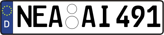 NEA-AI491