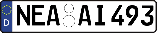 NEA-AI493