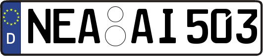 NEA-AI503