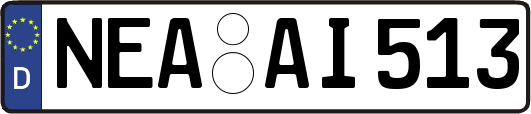 NEA-AI513