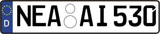 NEA-AI530