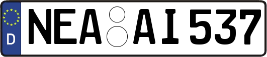 NEA-AI537