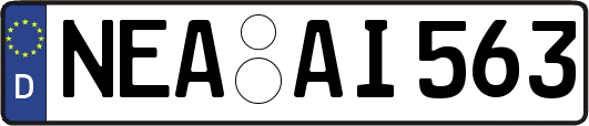 NEA-AI563