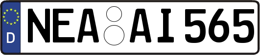 NEA-AI565