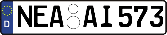 NEA-AI573