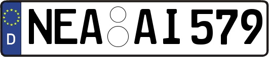 NEA-AI579