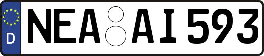 NEA-AI593
