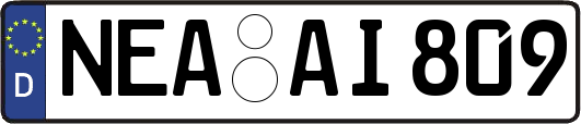 NEA-AI809