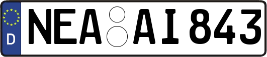 NEA-AI843