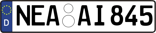 NEA-AI845