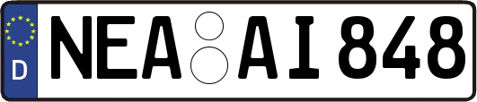 NEA-AI848