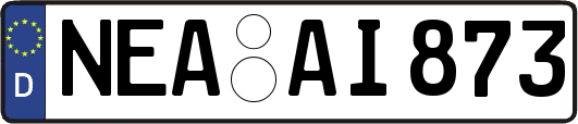 NEA-AI873
