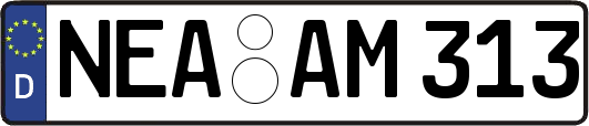 NEA-AM313