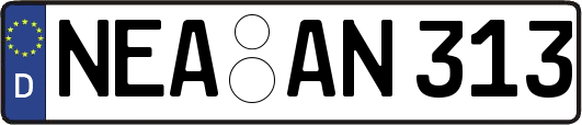 NEA-AN313