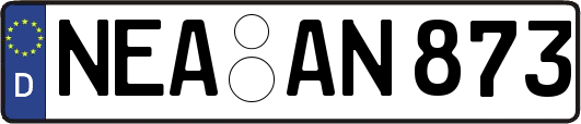 NEA-AN873