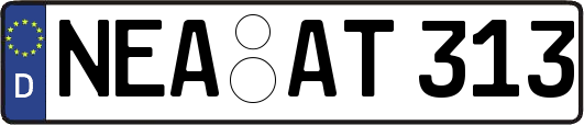 NEA-AT313