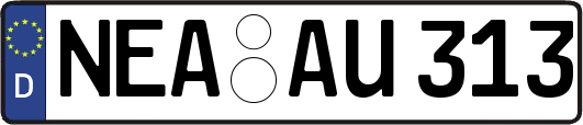 NEA-AU313