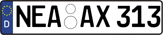 NEA-AX313