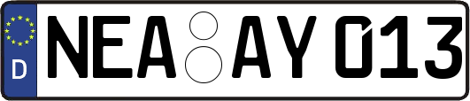 NEA-AY013