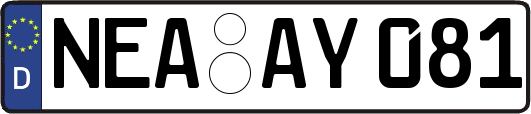 NEA-AY081