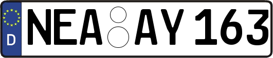 NEA-AY163
