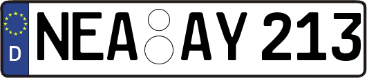 NEA-AY213