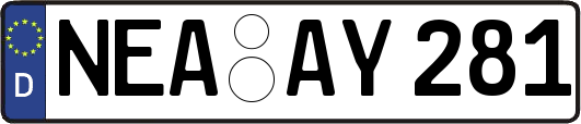NEA-AY281