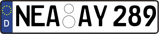 NEA-AY289