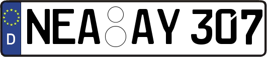 NEA-AY307