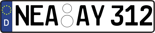NEA-AY312