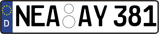 NEA-AY381