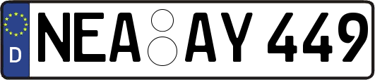 NEA-AY449