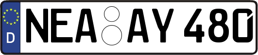 NEA-AY480