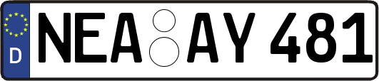 NEA-AY481