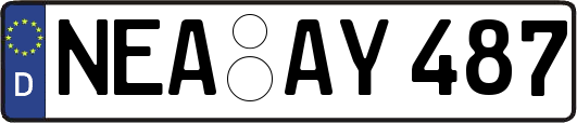 NEA-AY487