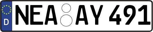 NEA-AY491