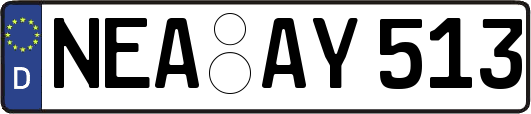 NEA-AY513