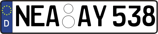 NEA-AY538