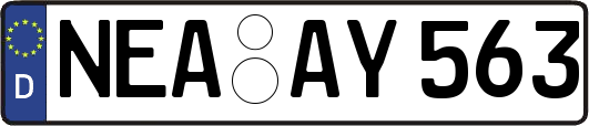 NEA-AY563