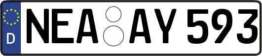 NEA-AY593