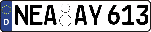 NEA-AY613