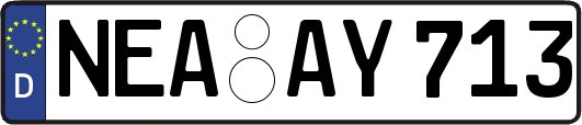 NEA-AY713