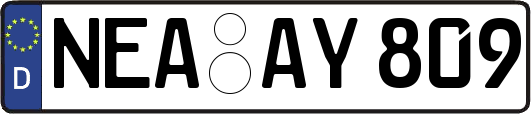 NEA-AY809